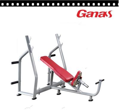 運動器材工廠 嘉納斯豪華上斜臥推舉架KY-8035 戶外健身