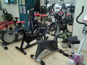 孝感舒華運(yùn)動(dòng)健身器材健身車813低價(jià)促銷圖片,孝感舒華運(yùn)動(dòng)健身器材健身車813低價(jià)促銷高清圖片 孝感市開發(fā)區(qū)舒華健身養(yǎng)身器材經(jīng)營部,