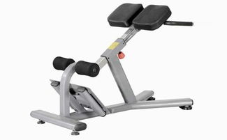 山東室內(nèi)運動器材產(chǎn)業(yè)發(fā)展概覽 優(yōu)質(zhì)制造商與市場趨勢分析