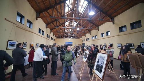 安順古城煥新顏，糧倉變身藝術(shù)殿堂 三臺灣糧倉藝術(shù)中心首展啟幕